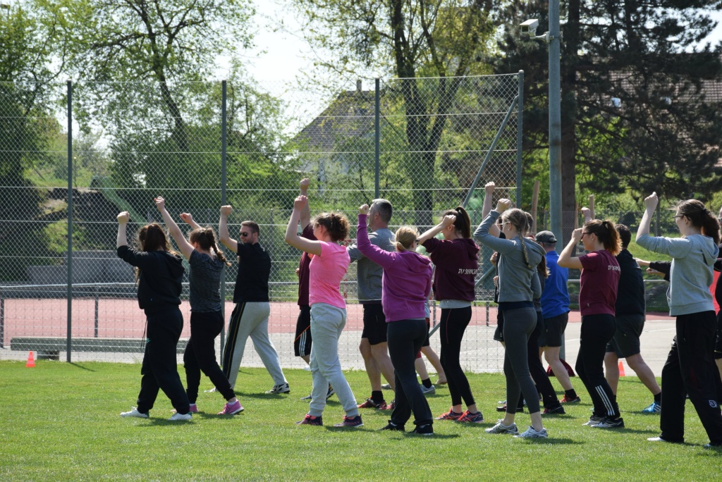 Bild 1 (77)